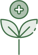 Holistic Healing
Approach